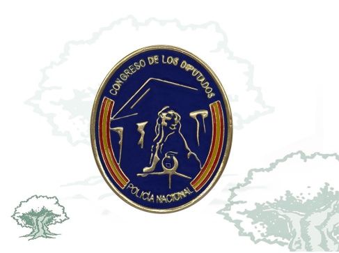 Distintivo de función Congreso de los Diputados