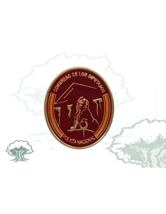 Distintivo de permanencia Congreso de los Diputados