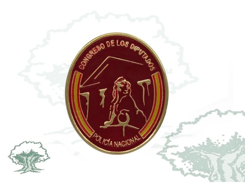 Distintivo de permanencia Congreso de los Diputados