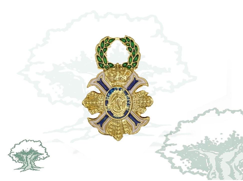 Pin Cruz Orden del Mérito Civil Oficial