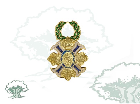 Pin Cruz Orden del Mérito Civil Oficial