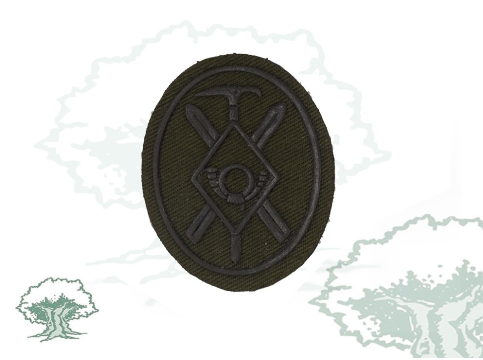 Parche Mando Tropas de Montaña Ejército