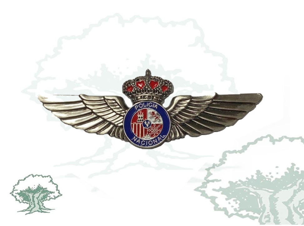 Roquisqui Mecánico Helicópteros Policía Nacional