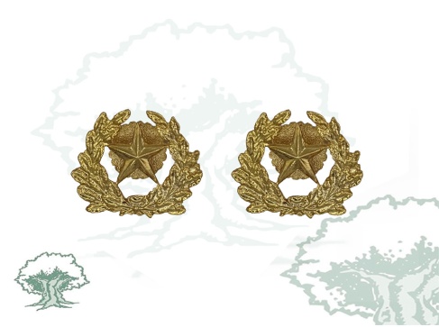 Emblemas Estado Mayor para camisa