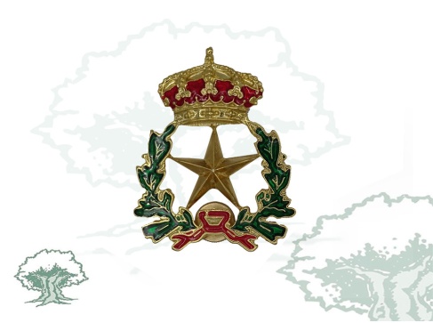 Distintivo Estado Mayor de las Fuerzas Armadas