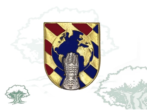 Distintivo de título Gestión de Catástrofes