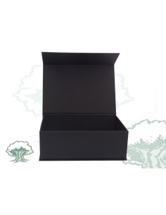 Tricornio de escritorio bañado en plata con leyenda 2