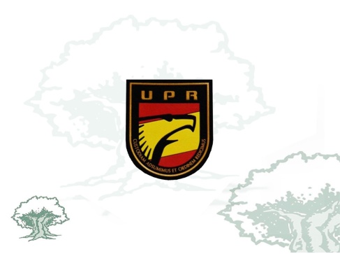 Parche UPR de la Policía Nacional miniatura