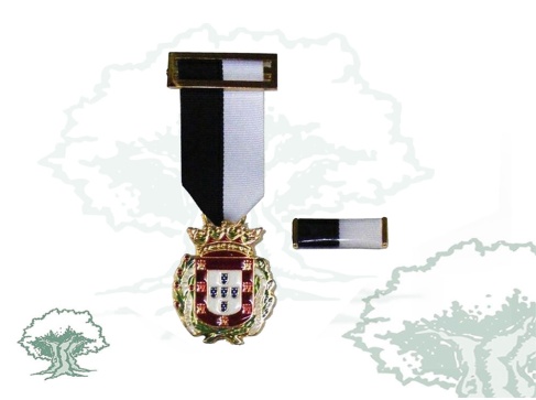 Medalla Ciudad de Ceuta