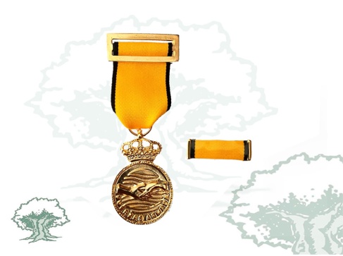 Medalla Conmemorativa Dana Medalla Conmemorativa Dana