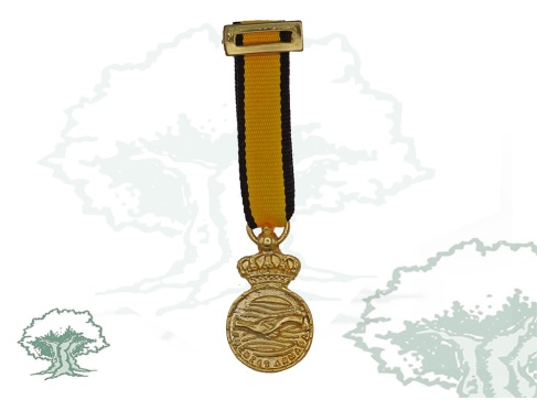 Medalla conmemorativa Dana miniatura