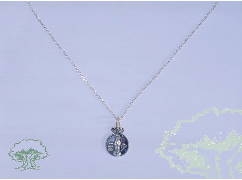 Colgante de plata Virgen del Pilar con cadena