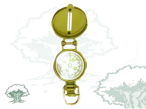 Brújula de metal y aceite