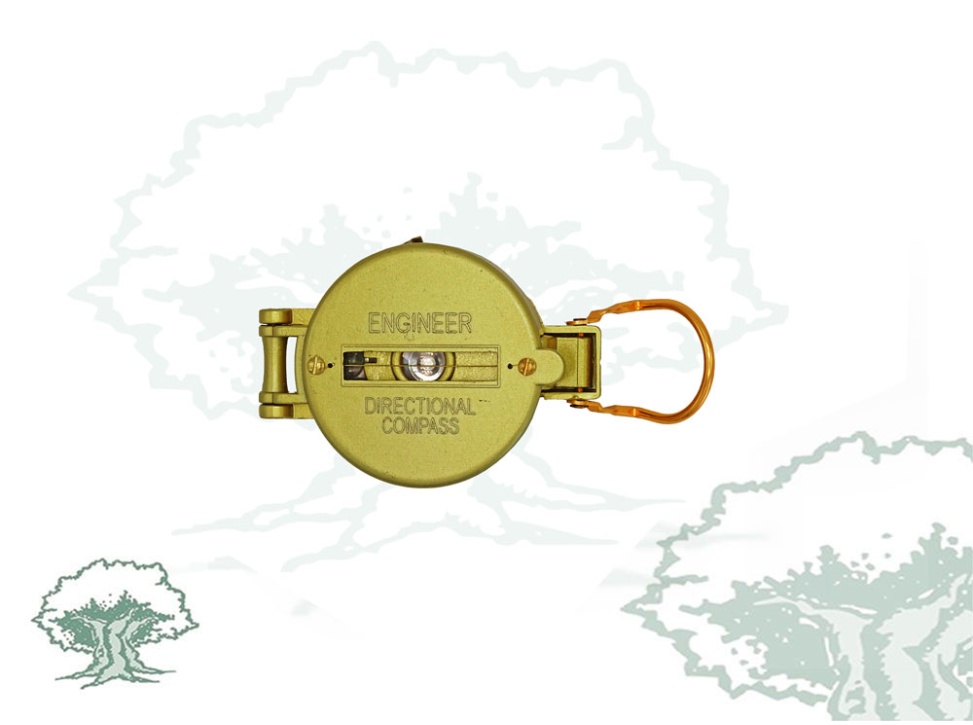 Brújula de metal y aceite