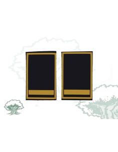 Hombreras Jefe Policía Local