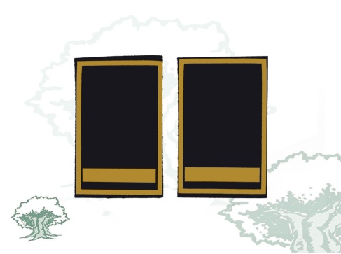 Hombreras Jefe Policía Local