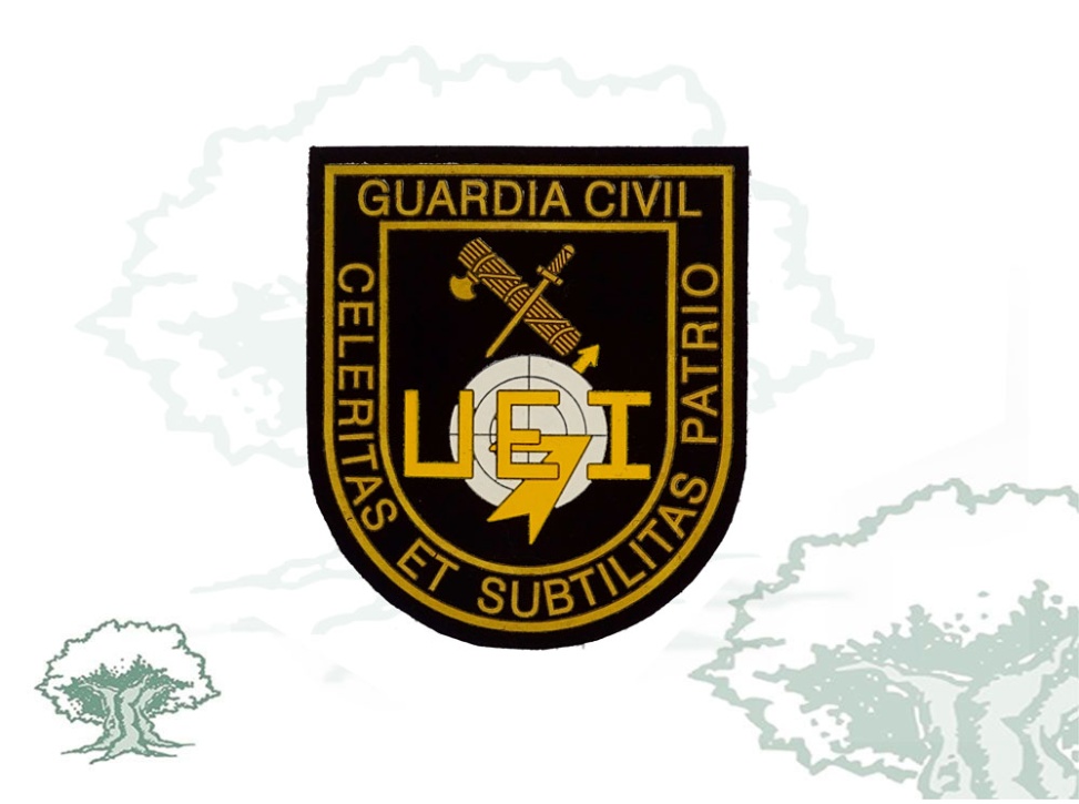 Parche UEI Guardia Civil rayo