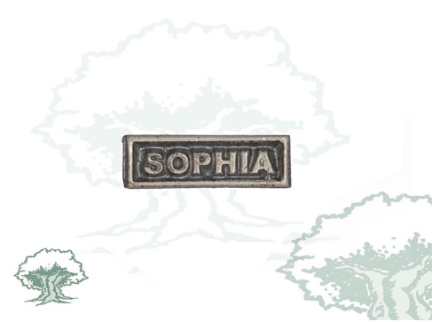 Barra pasador Sophia