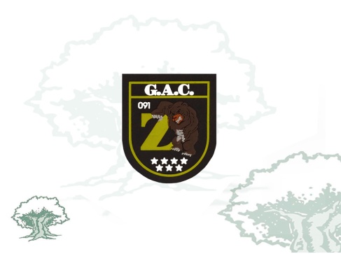 Parche GAC OSO-091 Policía Nacional miniatura