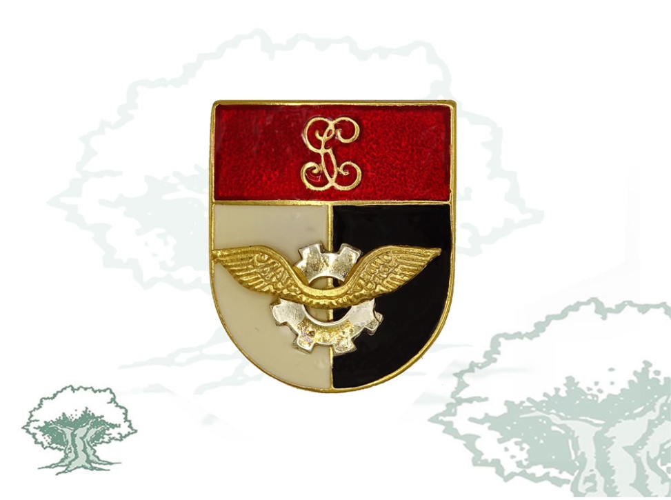 Distintivo de título Mecánico Aeronaves Guardia Civil