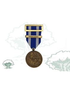 Medalla de la OTAN (Vigilance, Eastern Shield)