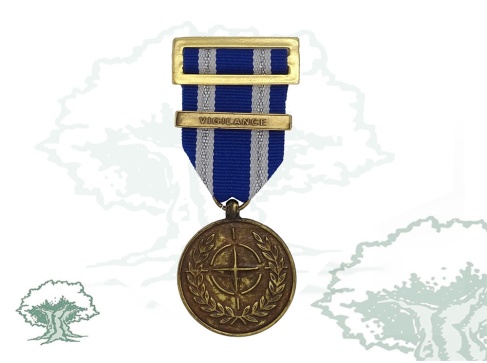 Medalla de la OTAN (Vigilance, Eastern Shield)