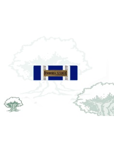 Pasador Medalla de la OTAN (VIGILANCE)