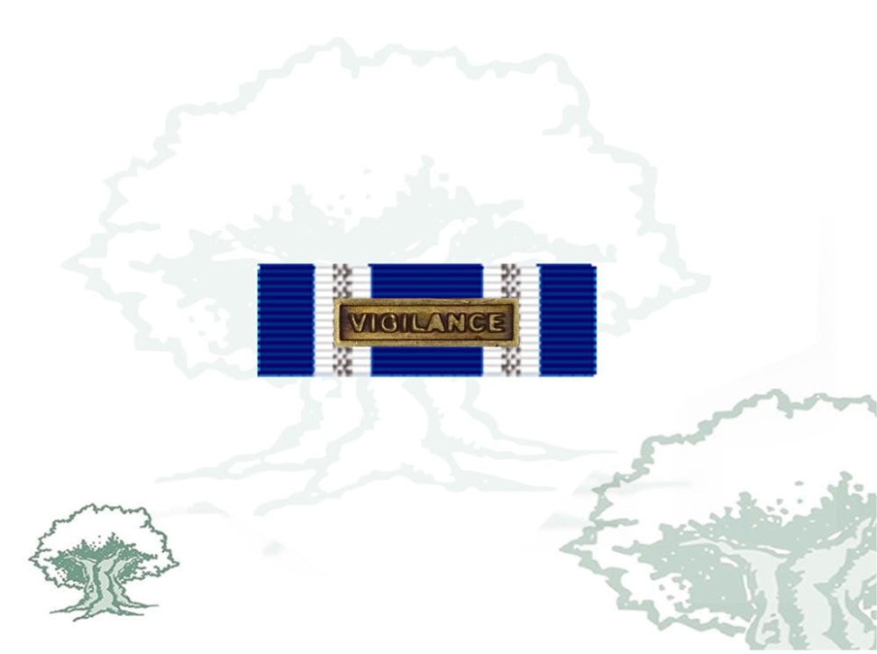 Pasador Medalla OTAN (VIGILANCE)