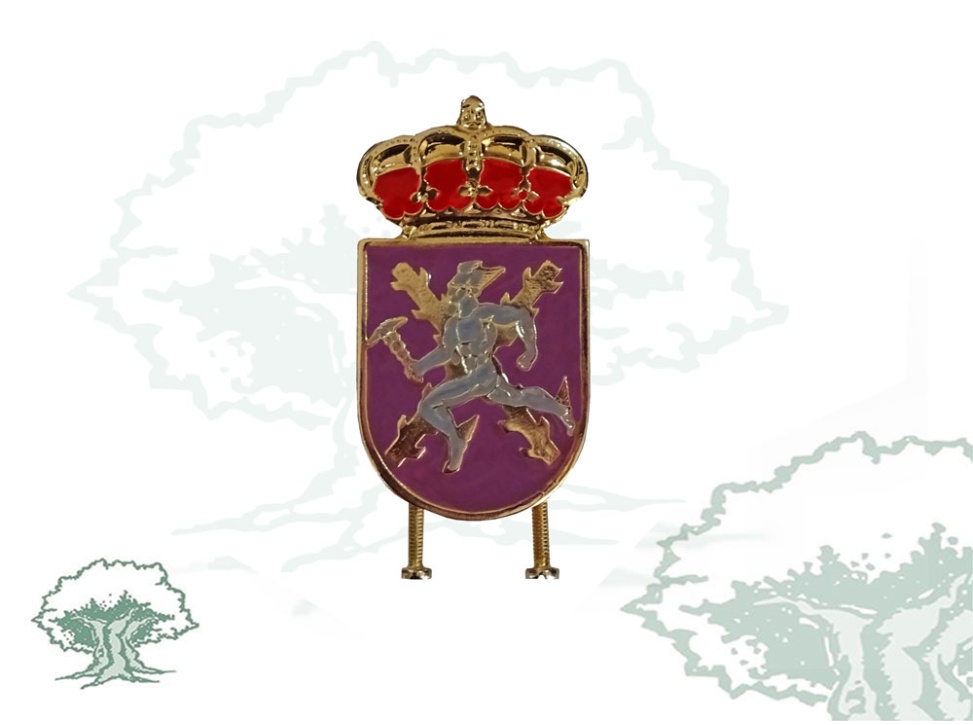 Distintivo de Permanencia Mando de Transmisiones “MATRANS”