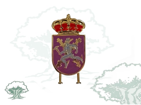 Distintivo de Permanencia Mando de Transmisiones “MATRANS”