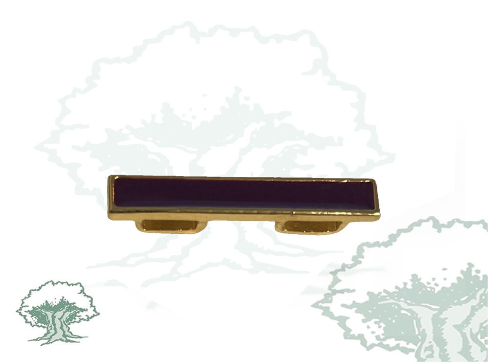 Barra distintivo de Permanencia Mando de Transmisiones “MATRANS”