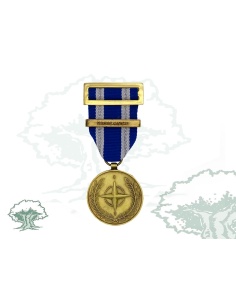 Medalla de la OTAN (Vigilance, Eastern Shield)