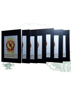 Libro Temario de ascenso a Suboficial de la Guardia Civil