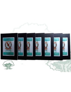 Libro Temario de Ingreso a la Guardia Civil