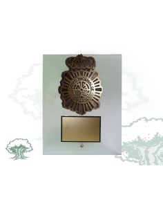 Placa dedicatoria de cristal traslúcido Policía Nacional resina