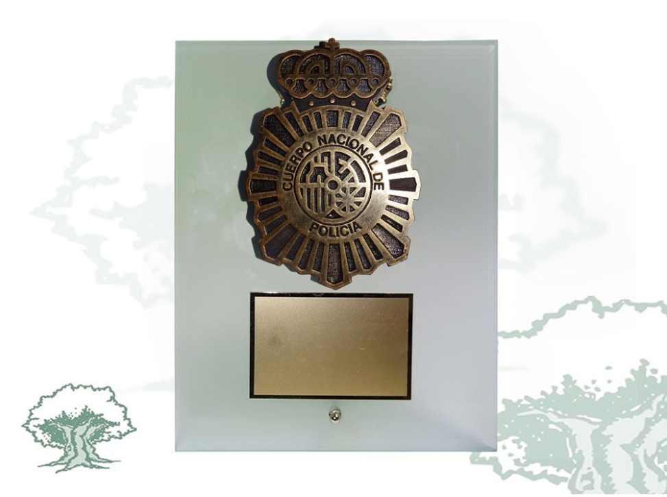 Placa dedicatoria de cristal traslúcido Policía Nacional resina