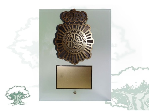 Placa Policía Nacional resina de cristal traslúcido