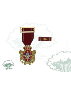 Medalla Ciudad de Ciudad Real