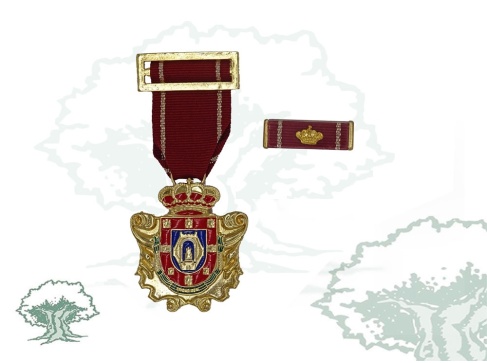 Medalla Ciudad de Ciudad Real