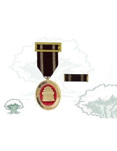 Medalla Ciudad de Ávila