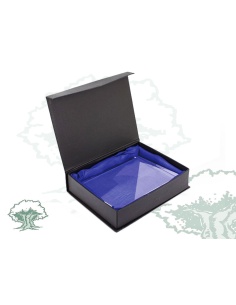 Placa Guardia Civil de Tráfico de cristal cuña horizontal 2