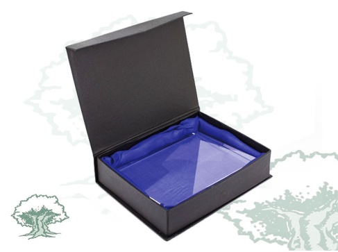 Placa Guardia Civil de Tráfico de cristal cuña horizontal