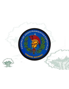 Parche Centro de Adiestramientos Especiales  CAE