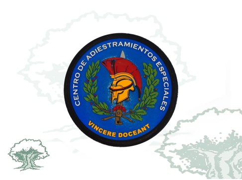 Parche Centro de Adiestramientos Especiales  CAE