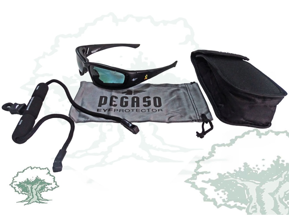 Gafas Guardia Civil Pegaso
