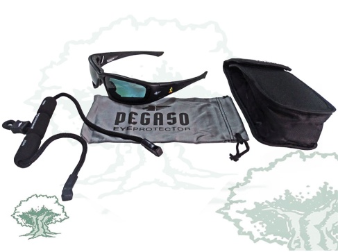 Gafas Guardia Civil Pegaso
