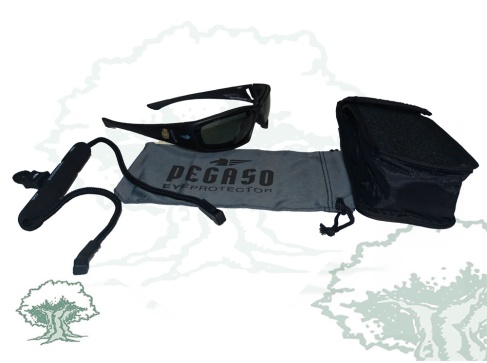 Gafas Policía Nacional Pegaso