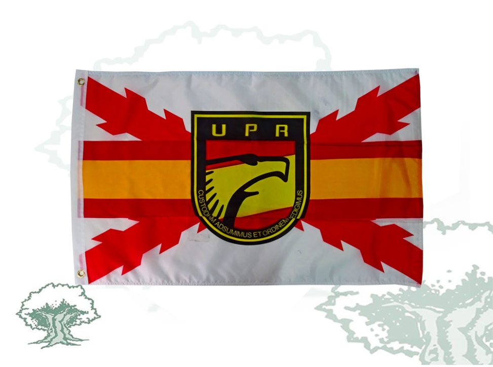 Bandera UPR Policía Nacional