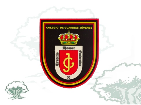Parche Colegio Guardias Jóvenes Polillas