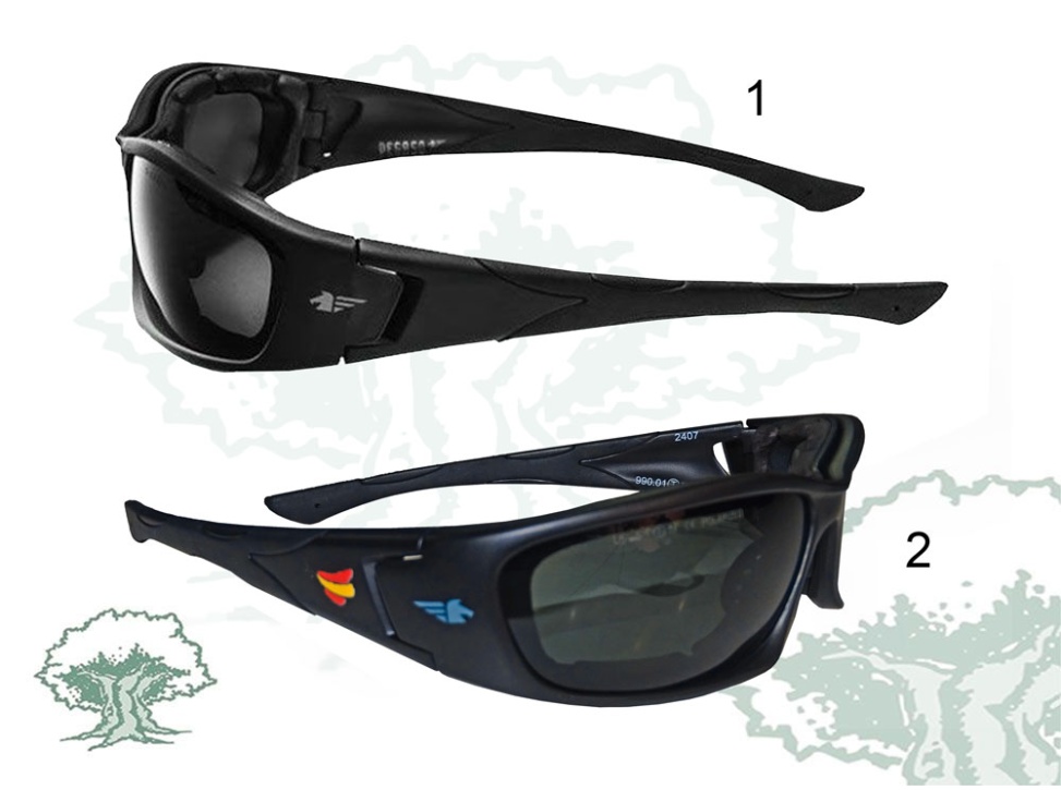Gafas polarizadas Pegaso